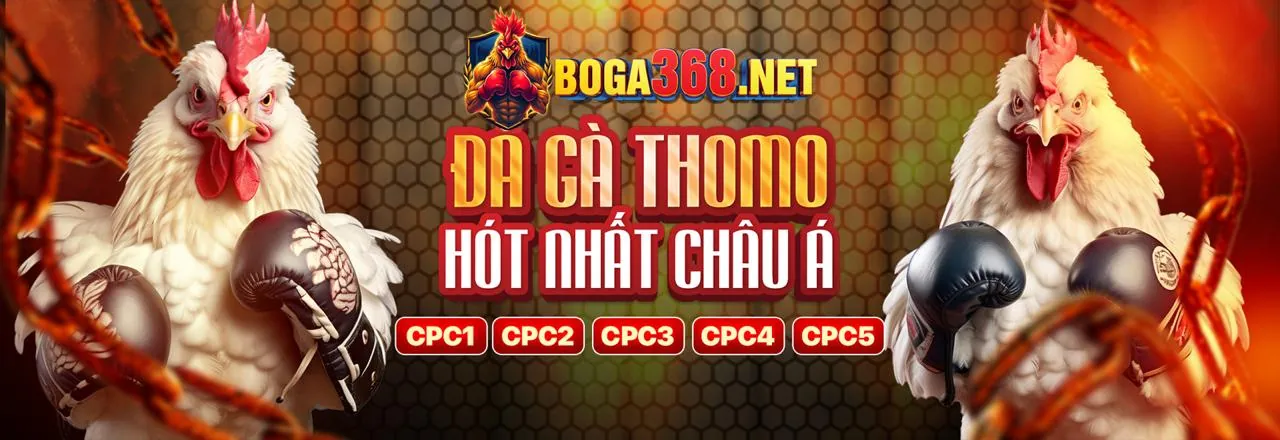 Sân chơi đá gà trực tuyến net88 đăng nhập với không khí sôi động